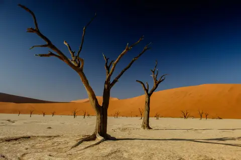 DSCF2064.jpg