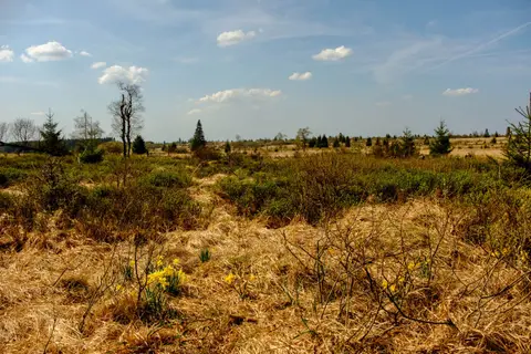 DSCF3058.jpg