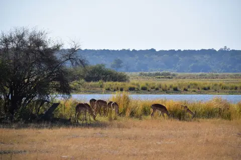 DSC_0013.jpg