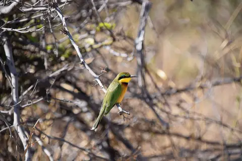DSC_0044.jpg