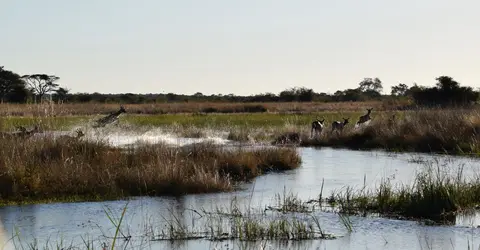 DSC_0180.jpg