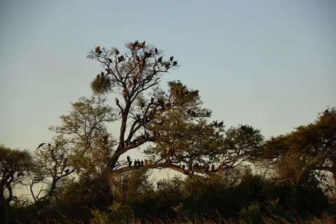 DSC_0221.jpg