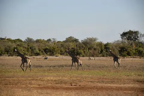 DSC_0306.jpg