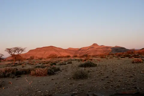 0008.JPG