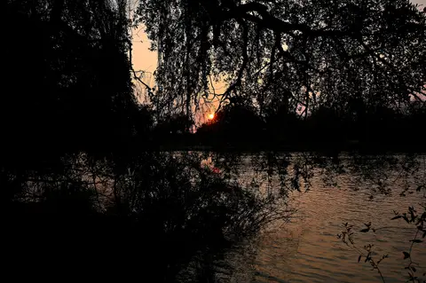 image338.jpg