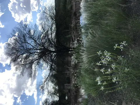 94B17D5F-D4E8-42D1-B000-7617EF33D451.jpeg