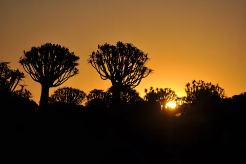 SonnenuntergangKöcherbaumwaldNamibia2009.JPG