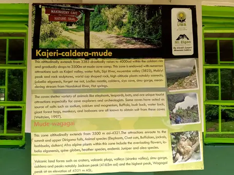 ForestExplorationCenter_03.jpg