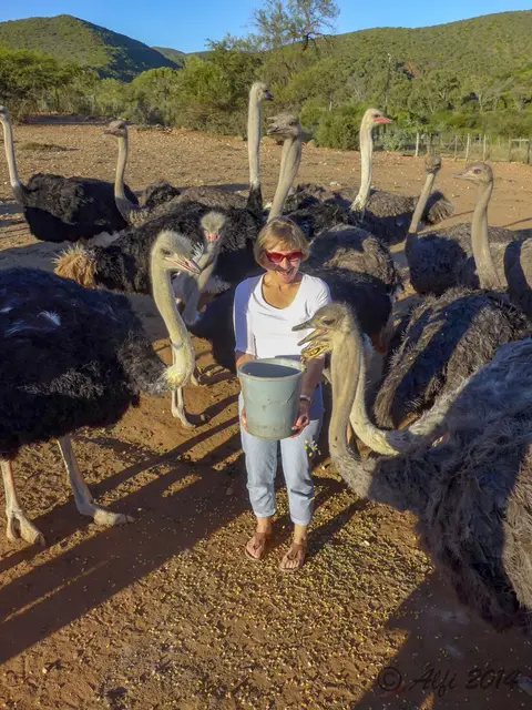 2014-03-13_17-54-36.jpg