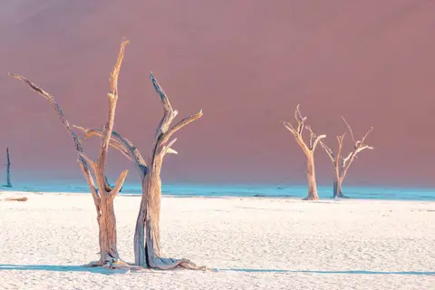 0H7A0124.jpg