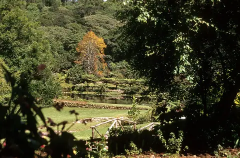 Vumbabot.garden4.jpg