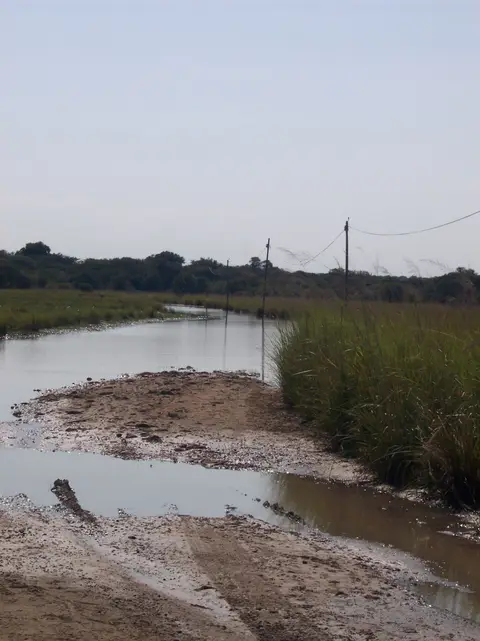 ZufahrtzurNdhovu-LodgeAnf.Mai2015.jpg
