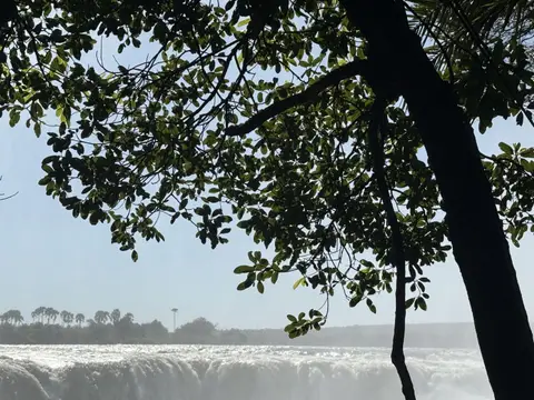 IMG_0722.jpeg