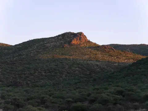 1650.JPG