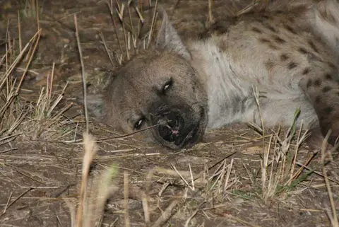 Letaba_2.jpg