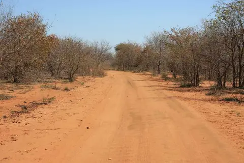 Limpopo.jpg