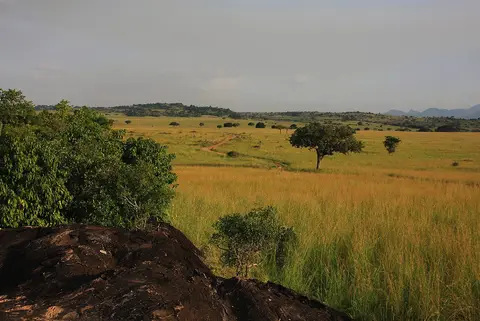 h1550467.JPG