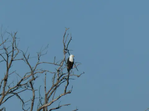 IMG_7775.jpeg