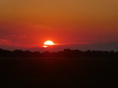 IMG_7982.jpeg
