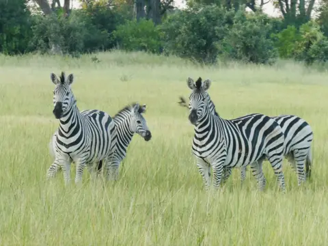 IMG_8024.jpeg
