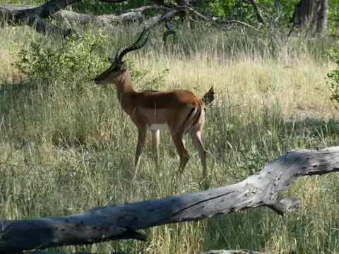 IMG_8048.jpeg