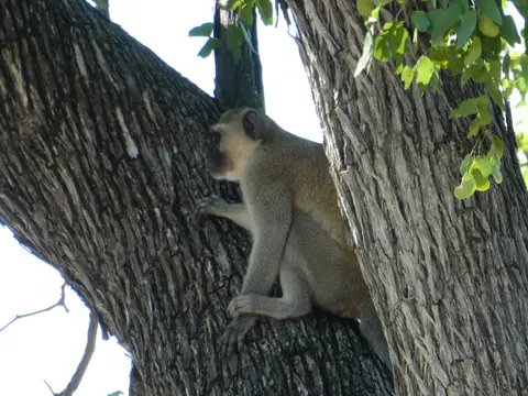 IMG_8051.jpeg