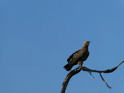 IMG_8208.jpeg