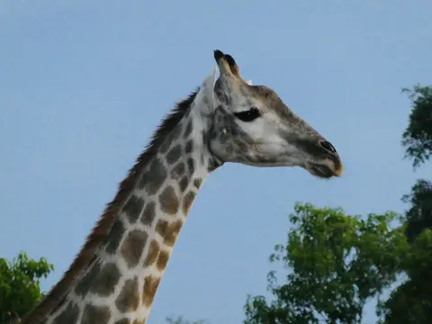 IMG_8559.jpeg