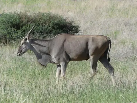 Namibia22Lumix(1172).JPG