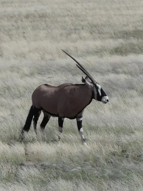 Namibia22Lumix(867).JPG