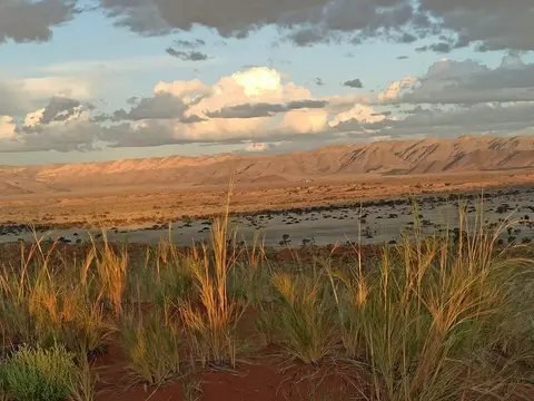 NamibiaSilviaHandy(485).JPG