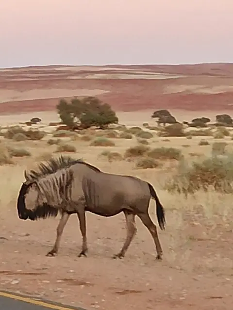 NamibiaSilviaHandy(553).JPG