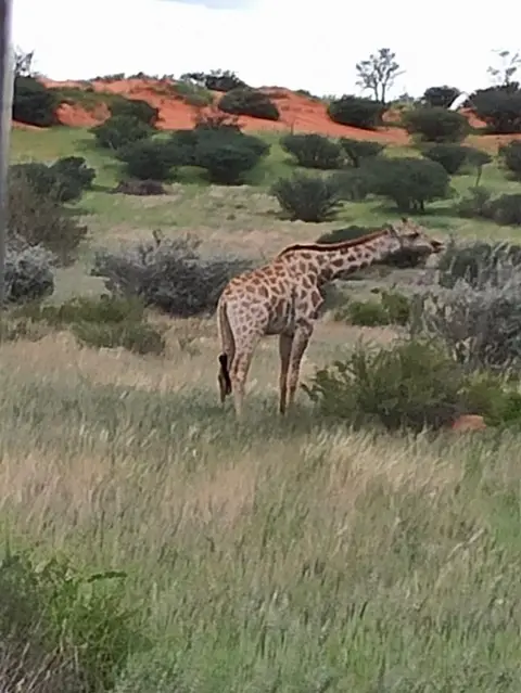 NamibiaSilviaHandy(674).JPG