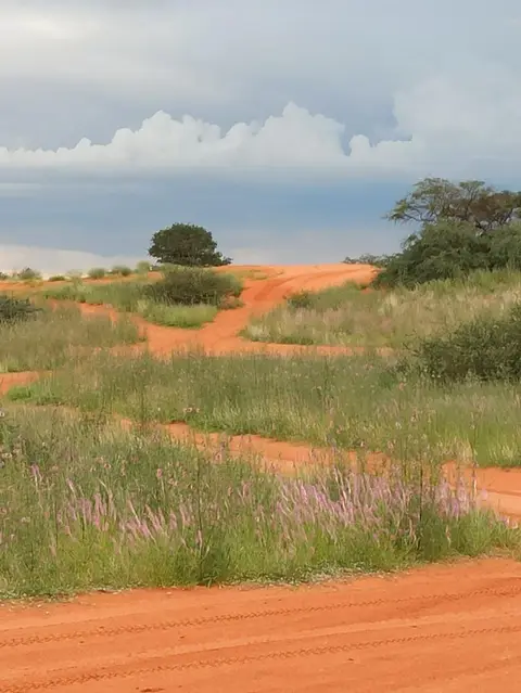 NamibiaSilviaHandy(689).JPG