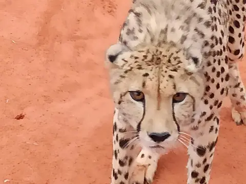 NamibiaSilviaHandy(693).JPG