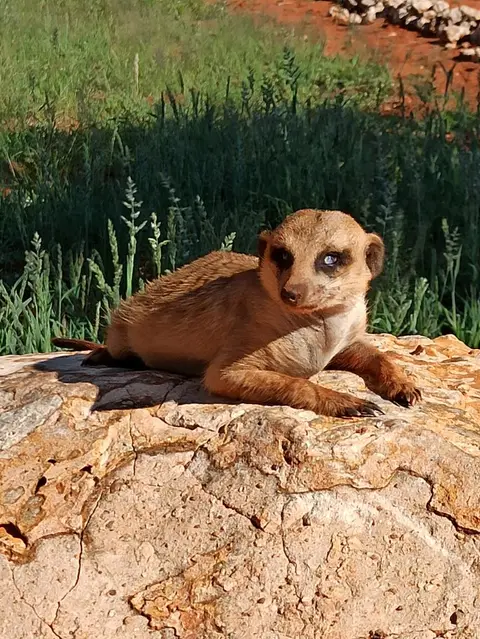 NamibiaSilviaHandy(739).JPG