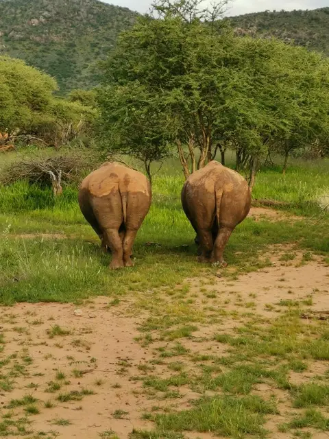 NamibiaUweHandy(138).JPG