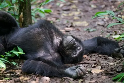2026-06-07_020_Uganda.jpg