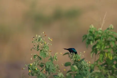 2026-06-11_028_Uganda.jpg