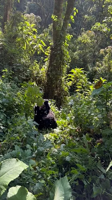 2026-06-12_031_Uganda.jpg
