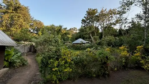 2026-06-14_037_Uganda.jpg