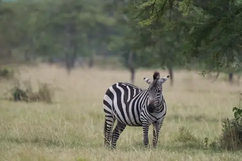 2026-06-16_046_Uganda.jpg