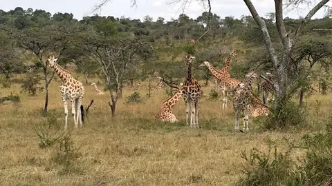 2026-06-16_049_Uganda.jpg