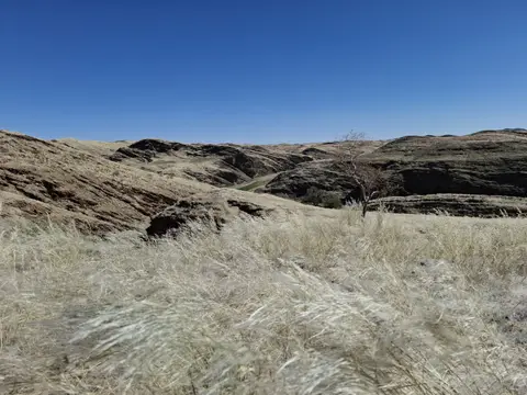 20260620_135648.jpg