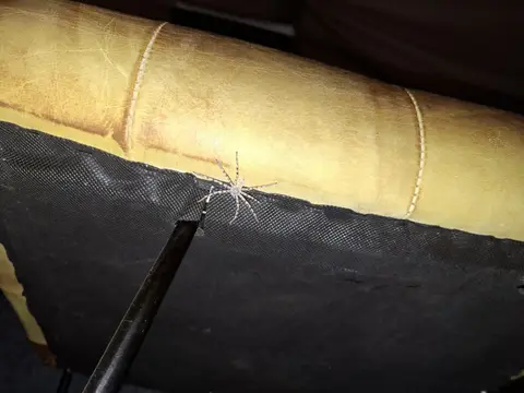 20260625_060510.jpg