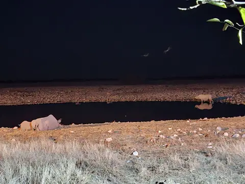 20260629_235340.jpg