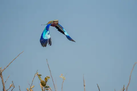 DSC00423.jpg