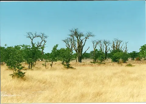 h04251e4.jpg