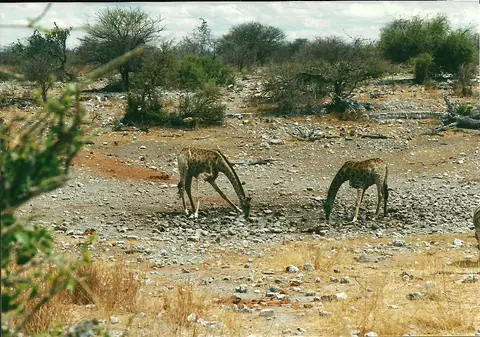 h15c5ceb.jpg