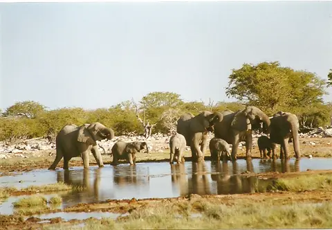 h6a013af.jpg